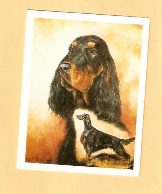 Gordon Setter Note Cards Notecard By Ruth Maystead Box Of 6