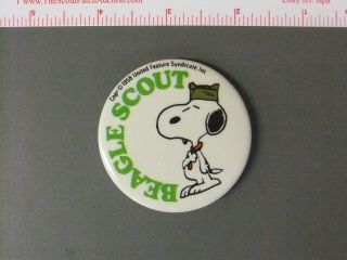 Boy Scout Beagle Scout Snoopy Pinback Button 2393kk