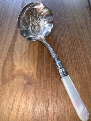 Moselle Grape & Leaf Pattern American Silver Co Asco Soup Ladle Mother Of Pearl