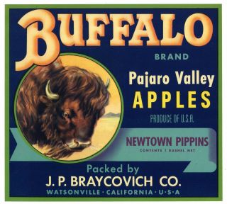 Buffalo Vintage Watsonville Apple Crate Label,  Bison,  Western,  An Label