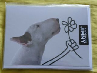 " Jimmy Choo ",  " Jimmy The Bull ",  English Bull Terrier Greetings Cards.