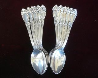 Set Of 12 Reed & Barton Tiger Lily / Festivity 7 1/4 " Place / Oval Soup Spoons