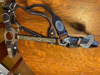 Circle Y Show Halter With Matching Lead.  Vintage.  Weanling Size