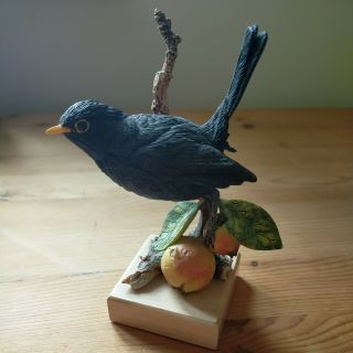 Country Artists Blackbird With Crabapples