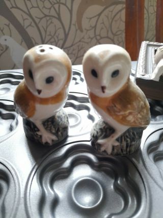 Quail Ceramic Barn Owl Salt & Pepper Pots Cruet Set