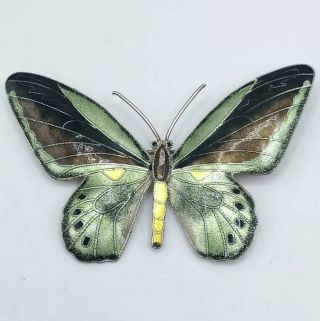 Estate Vintage Sterling Silver 925 Green Enamel Large Butterfly Brooch Pin