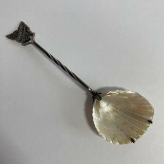 Tasmania Sterling Silver Souvenir Spoon With Shell Bowl W Golding And Son
