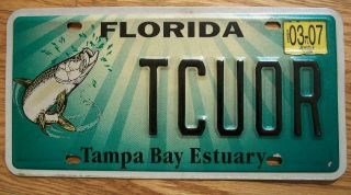 Single Florida License Plate - 2007 - Tcuor - Tampa Bay Estuary - Fish