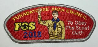Boy Scout Tukabatchee Area Council 2018 Fos Csp/sap