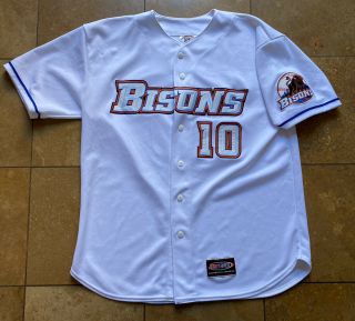 Vintage Buffalo Bisons Authentic Jersey Express Minor League Baseball Jersey Lg