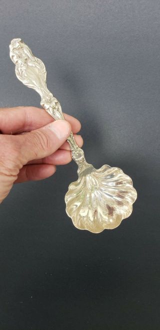 Art Nouveau - Lily By Whiting - Sterling Silver Serving Ladle W/ Scalloped Bowl