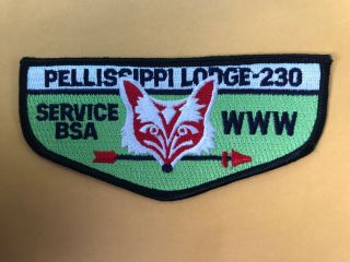 Pellissippi Lodge 230 Green Service Flap