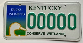 Ducks Unlimited Kentucky License Plate Sample 00000