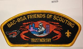 Boy Scout Baltimore Area Council Bac Trustworthy Csp