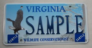 Virginia Graphic Sample License Plate " Sample " Wildlife Conservationist Eagle