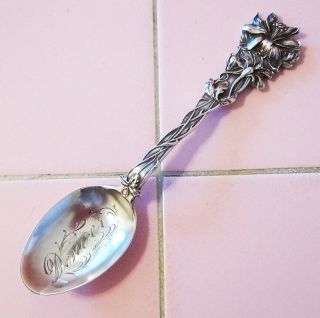Antique Sterling Silver Souvenir Spoon Denver Colorado Paye Baker Floral Series