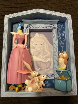 Rare Disney Princess Sleeping Beauty - Aurora Photo Frame - Dress Diorama -