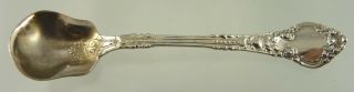 Unknown Victorian Scroll Salt Spoon Sterling By Roden Bros