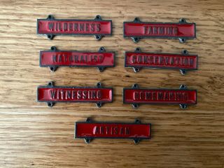 Sda Seventh Day Adventists Vintage Pathfinder Metal Badges
