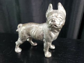 Cast Iron " Boston Bull Terrier " Dog Still Bank Made By Vindex Toys? Unmarked