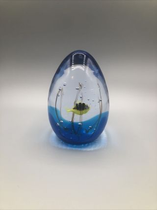 Vintage Elio Raffaeli Oggetti 5.  5 " Murano Fish Aquarium Art Glass Paperweight