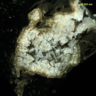 Bb: Vintage Fluorite,  Clay Center,  Ohio - Fluorescent/phosphorescent Crystals