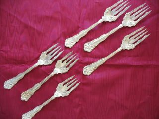 (6) Wm Rogers Patent 1904 Salad Forks; Silverplate.  " Berwick/dana " Pattern