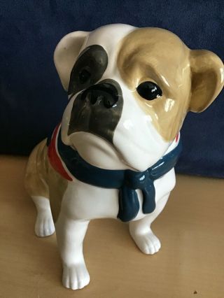 Ben De Lisi Ceramic British Bull Dog,  MONEY BOX. 3