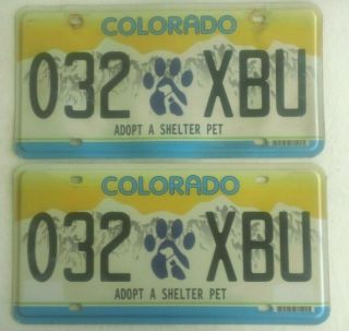 Colorado ‘adopt A Shelter Pet’ Auto License Plates 032 (paw) Xbu