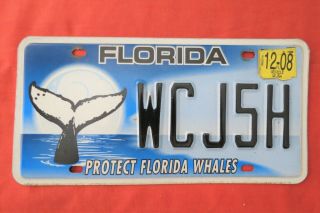 License Plate Florida Protect Florida Whales Save Wcj5h  2008