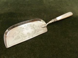 Antique Harrison Fisher Silver Plated Table Crumber Mother Pearl Handle C.  1911