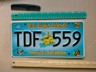 License Plate,  U.  S.  Virgin Islands,  Tropical Fish,  Tdf Flowers 559