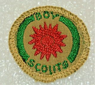 Red Sun Variety Boy Scout Naturalist Proficiency Award Badge Black Back Small