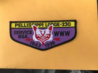 Pellissippi Lodge 230 1998 Service Flap