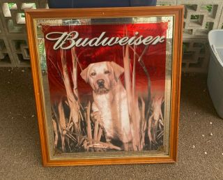 Budweiser Beer Mirrors Hunting Labrador Retriever