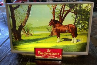 Rare Vintage Budweiser Beer Lighted Sign Clydesdale Horse 1950 1960’s Light Bud