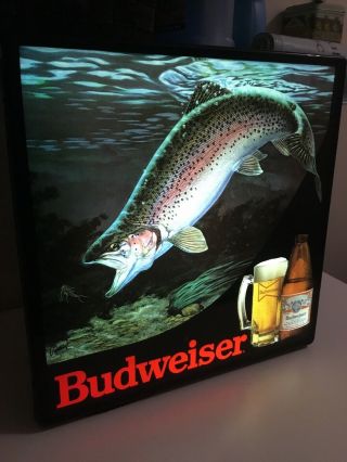Vintage 1980s BUDWEISER RAINBOW TROUT IN MOTION LIGHTED BEER SIGN. 3