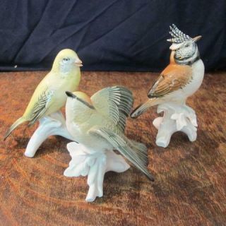 3x Vintage 20thc Karl Ens Porcelain Bird Figures A Crested Tit,  Fire Crest,  One