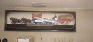 70½ " Budweiser Clydesdale Lighted Sign