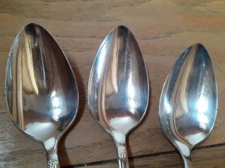 Set Of 3 Vintage Community Plate Table Spoons Hampton court/ Coronation Pattern 3