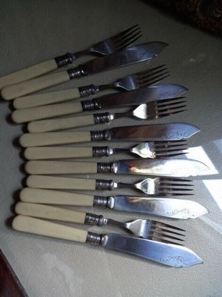 Antique Silver Plate Fish Knives And Forks Epns Bone Handles