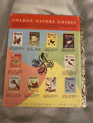 A Little Golden Book Walt Disney ' s Old Yeller 1957 1st “A” Edition VG 3