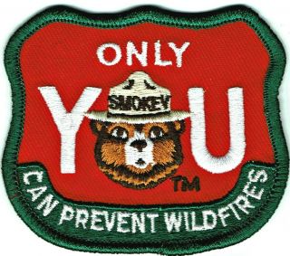 Smokey Bear Only You Can Prevent Wildfires Us Forest Embroidered Patch