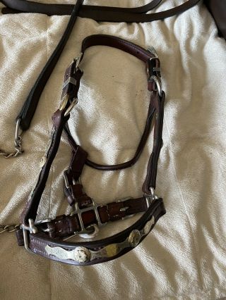 Vintage Weanling Show Halter With Matching Lead