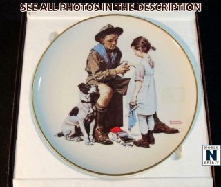 Noblespirit (pa) 1979 Norman Rockwell Plate " The Young Doctor "