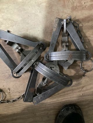 4 3 Victor Double Long Spring Traps.  Rare Newhouse Old Stock
