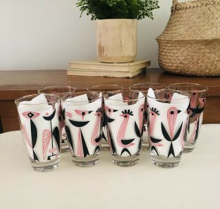 Vintage Mcm 1950s - 1960s " Dyball " Glass Cocktail Glasses Birds Pink Black