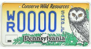 Pennsylvania Conserve Wild Resources Owl Sample License Plate