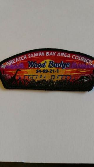Bsa Greater Tampa Bay Area Council Wood Badge Csp S4 - 89 - 21 - 1,  Rorg Background