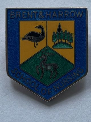 Brent & Harrow School Of Nursing Vintage Enamel & Silver Hallmarked Badge 1991